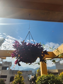 Meghna Sweets & Restaurant