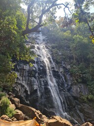 Pachmarhi Biosphere Reserve