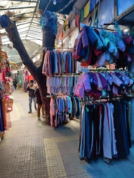 Tibetan & Bhotia Market