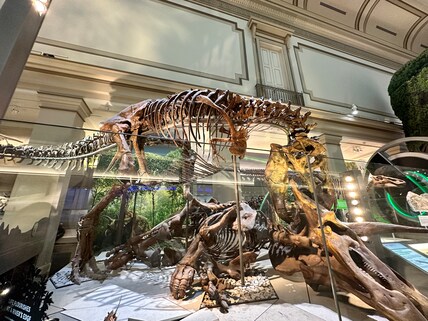 Smithsonian National Museum of Natural History