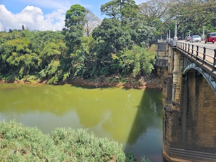 Peradeniya Bridge