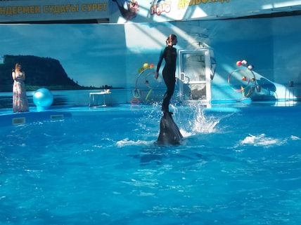 Dolphinarium Nemo
