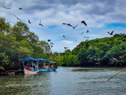 Backwaters Palolem