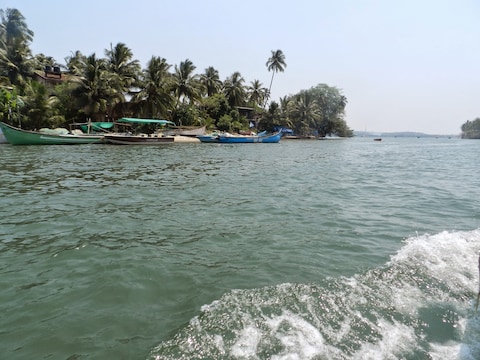 Dolphin Point