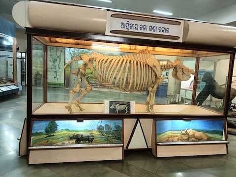 Regional Museum of Natural History