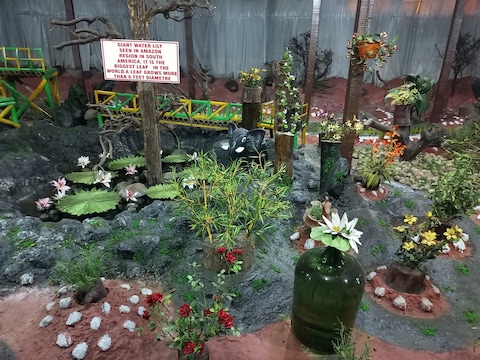 Thread Garden