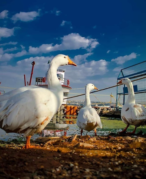 Boat Club, Bhopal