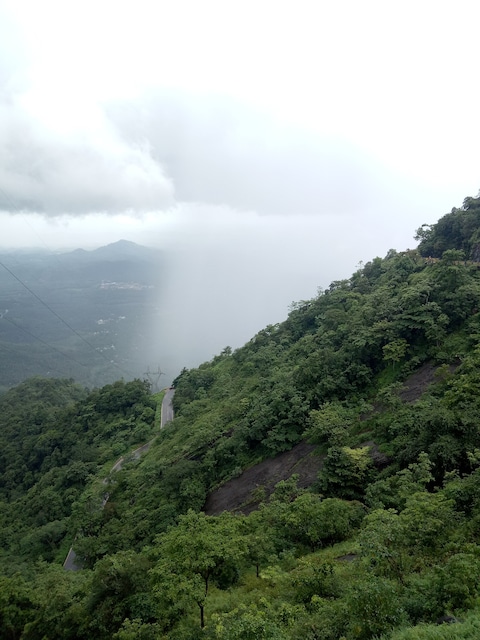 Lakkidi View Point