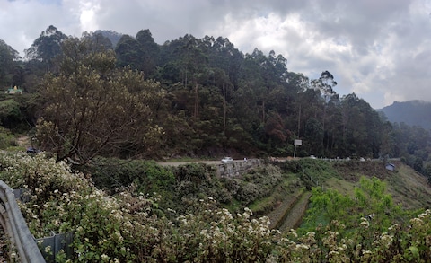 Poombarai View Point