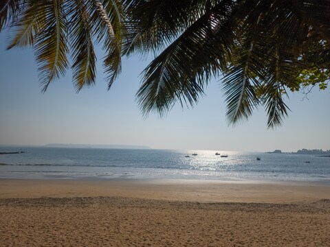 Vainguinim Beach