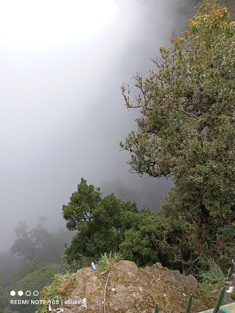 Guna Cave
