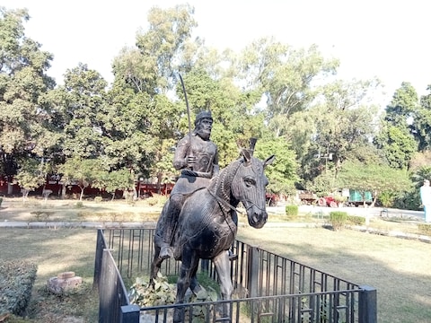 Maharaja Ranjit Singh Panaroma