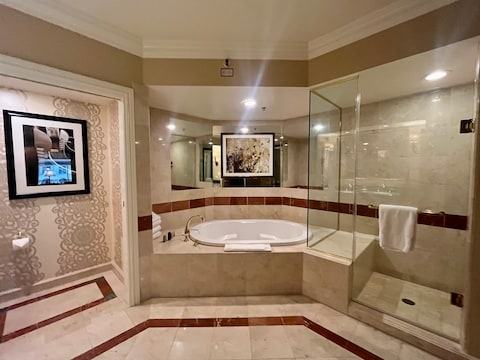 The Venetian Las Vegas
