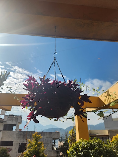 Meghna Sweets & Restaurant