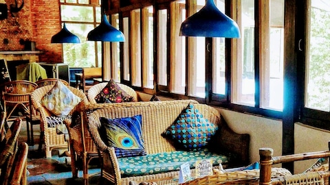 The Lazy Dog Lounge
