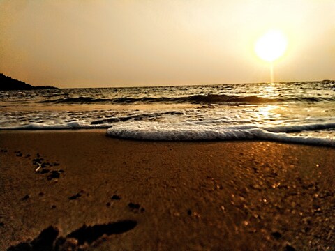 Monkey Beach
