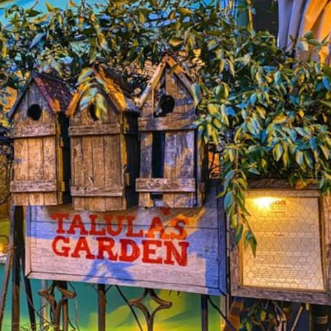 Talula's Garden