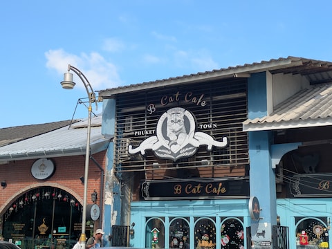 B Cat Café