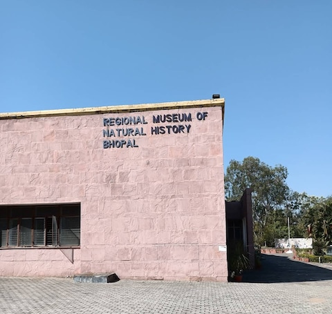 RMNH- Regional Museum Of Natural History