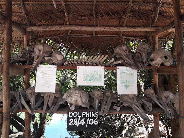 Baraka_Natural_Aquarium_Nungwi_3