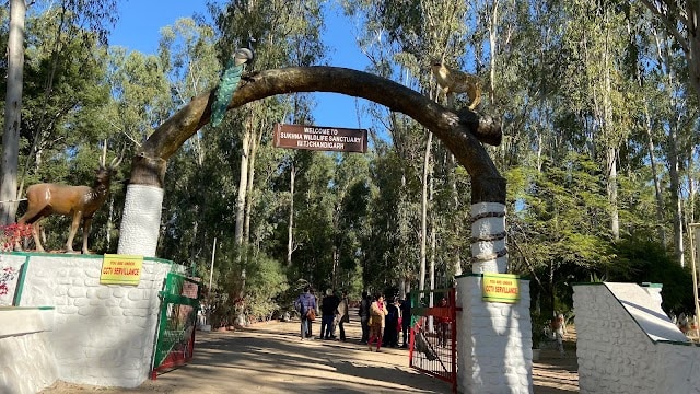 Nepali_Reserve_Forest_3