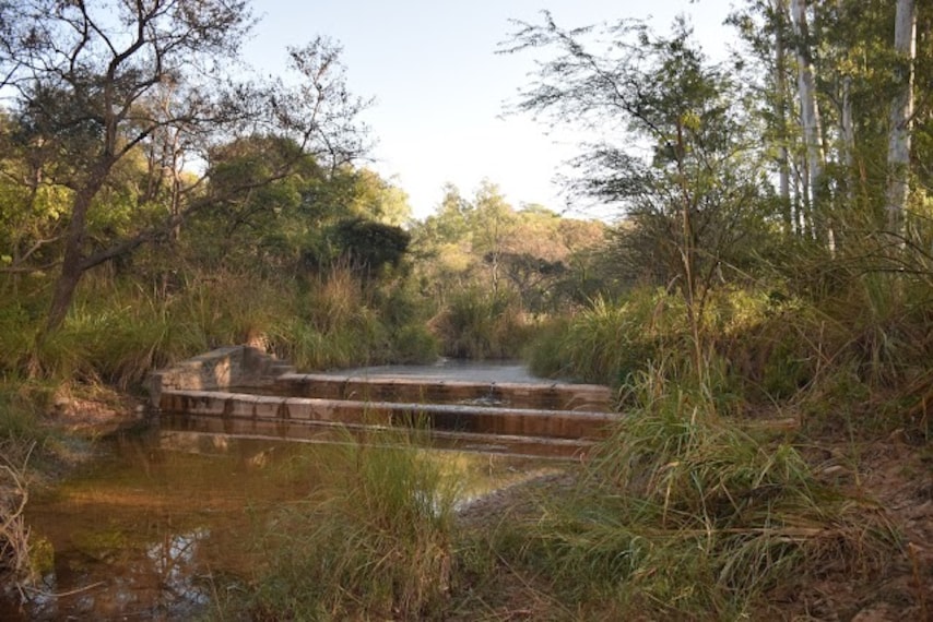 Nepali_Reserve_Forest_2