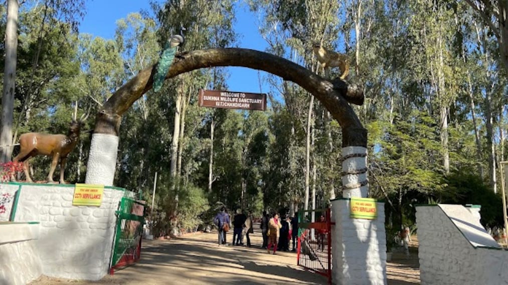 Nepali_Reserve_Forest_3