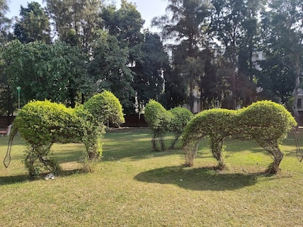 Topiary Park