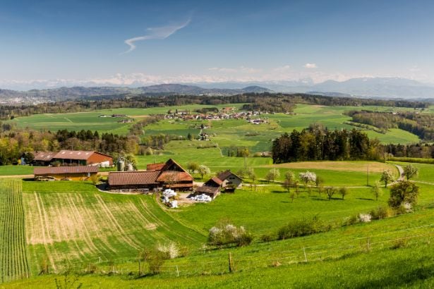 zurich_hike_to_uetliberg