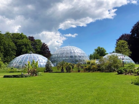 Botanical Garden and Museum